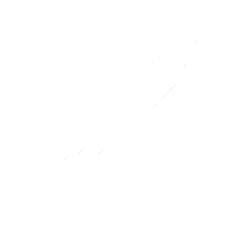 Grab Bars & Ramps